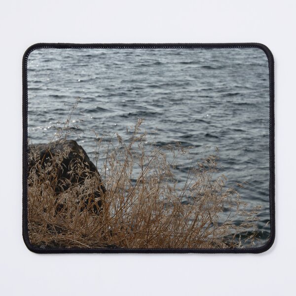 Item preview, Rock and dried grasses beside Banks Lake near sunset designed and sold by lisavonbiela.