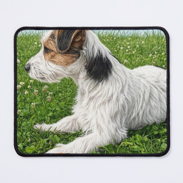 Item preview, Cute realistic Puppy on the green lawn with Ball. Curly Jack Russell terrier dog, portrait designed and sold by ollgast5.
