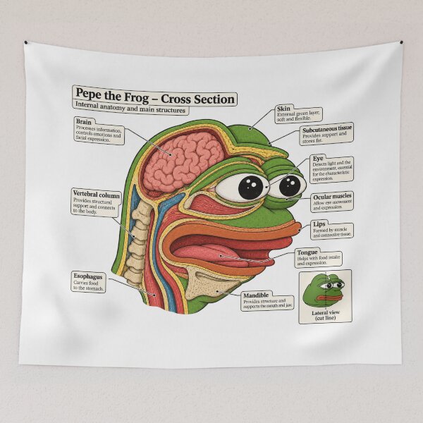 Item preview, Pepe the Frog (Cross Section) designed and sold by MEMERY MUSEUM.