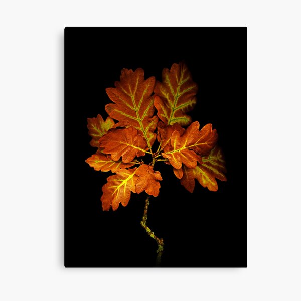 Item preview, Oak Twig designed and sold by James Coard.