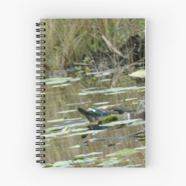 Item preview, lady Mallard swimming designed and sold by Digital2dreams.