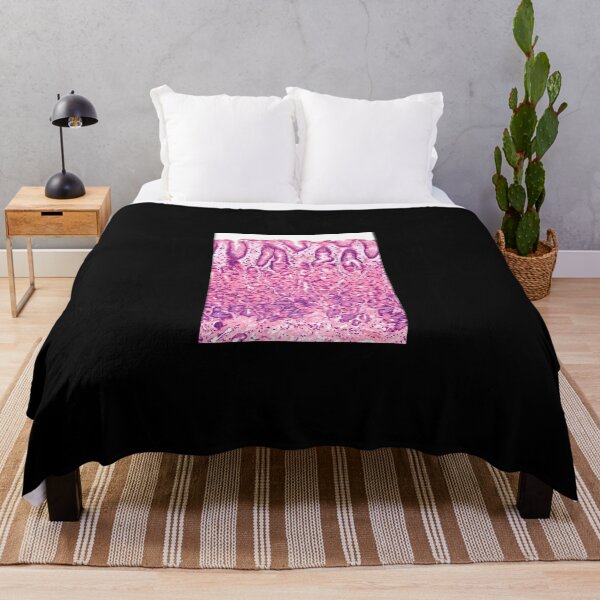 Item preview, Stomach-Histology designed and sold by tappaslo.