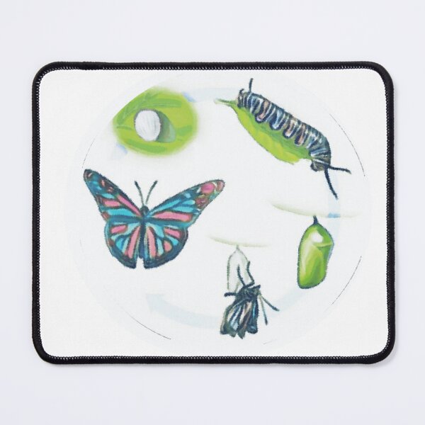 Item preview, Life Cycle of the Butterfly designed and sold by DesertRoseDesigns.