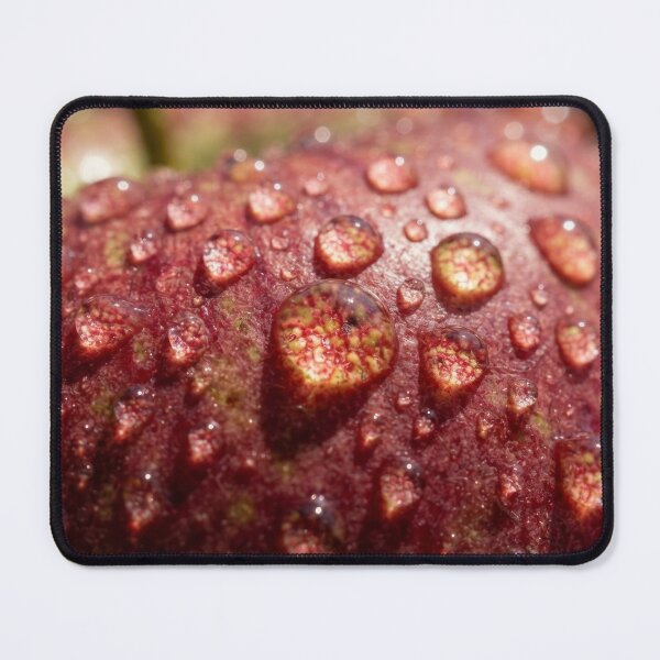 Item preview, Artwork 8334 designed and sold by KaiWaiGallery.