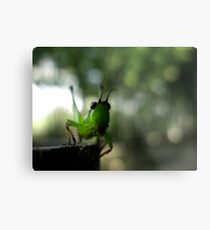 jump! jump! Metal Print