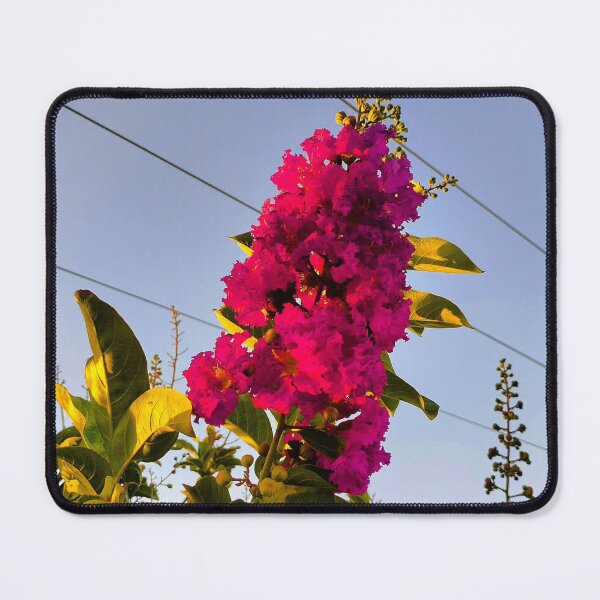 Item preview, Beautiful Barco Technology Inside Out designed and sold by mnsiins.