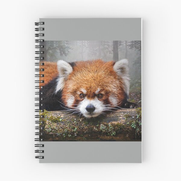 Item preview, Red Panda Resting in Forest designed and sold by Savannah Gibbs.