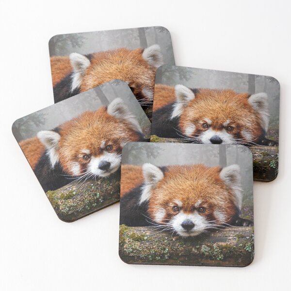 Item preview, Red Panda Resting in Forest designed and sold by Savannah Gibbs.