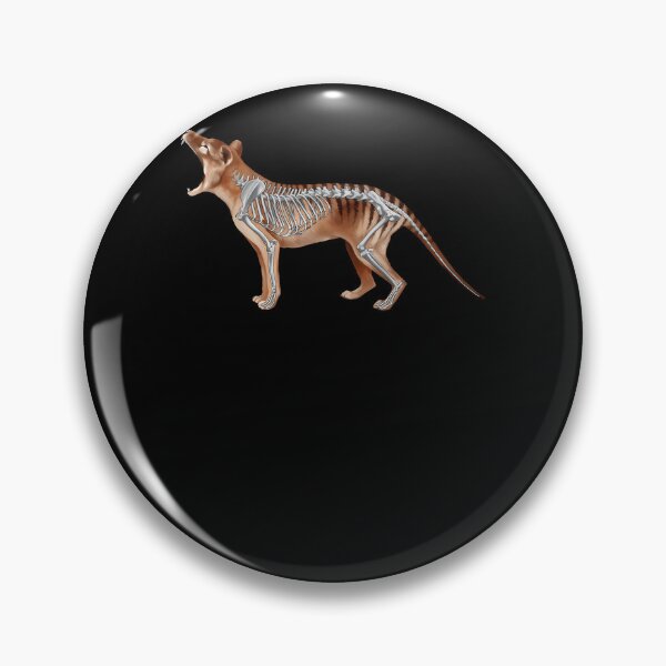 Item preview, Tasmanian-Tiger-(Thylacine)-Anatomy designed and sold by lesaneka.