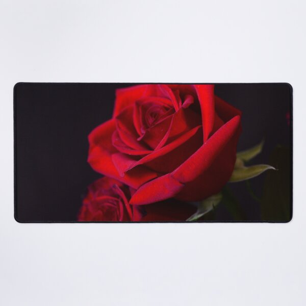Item preview, Two Red Roses in Camelot Art Photo designed and sold by DEC02.