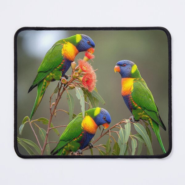 Item preview, Rainbow Lorikeets designed and sold by pawprintz.