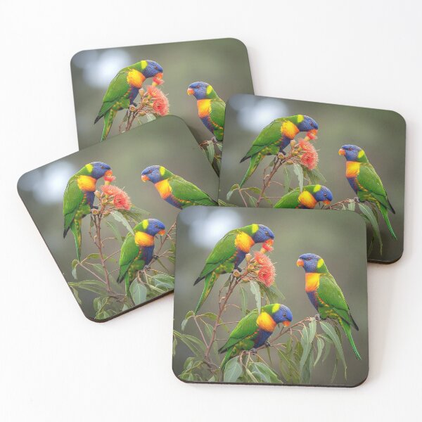 Item preview, Rainbow Lorikeets designed and sold by pawprintz.