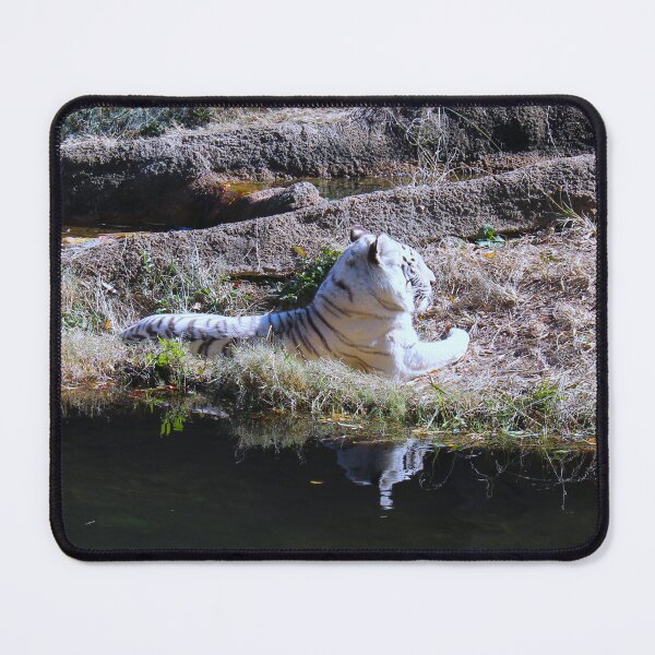 Item preview, White Tiger  designed and sold by Creek Nymph Photography.