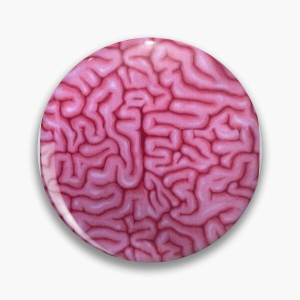 Item preview, brains designed and sold by imcodyhi.