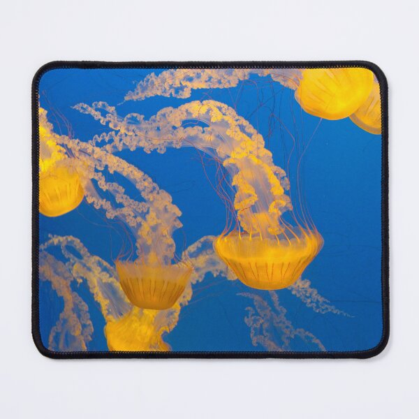 Item preview, Sea Nettle Jellies designed and sold by Creek Nymph Photography.