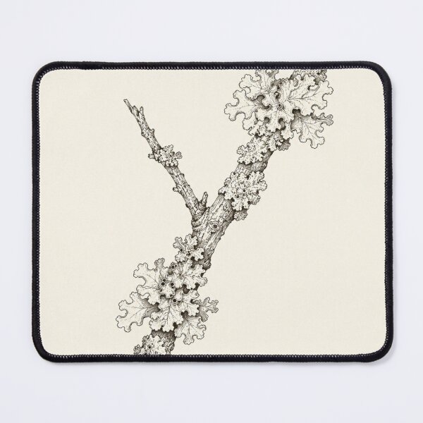 Item preview, Lichen-Covered Branch Study | Cottagecore Nature Print designed and sold by Zaramodo.