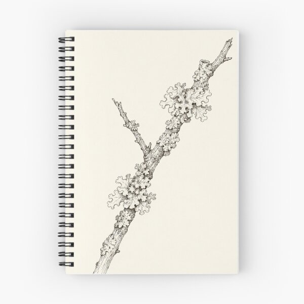 Item preview, Lichen-Covered Branch Study | Cottagecore Nature Print designed and sold by Zaramodo.