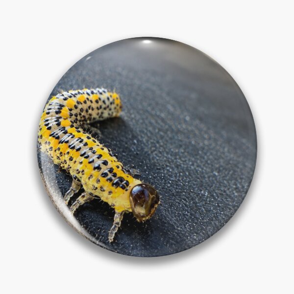 Item preview, Berberis Sawfly Larva, A Vibrant Macro Encounter designed and sold by Astute-Artio-Photography.