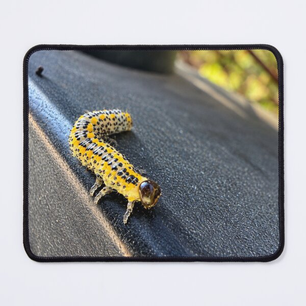 Item preview, Berberis Sawfly Larva, A Vibrant Macro Encounter designed and sold by Astute-Artio-Photography.