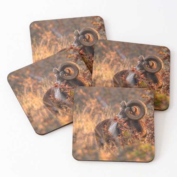 Item preview, Autumn Mouflon Ram with Oak Leaves designed and sold by Medve Photography & Design.