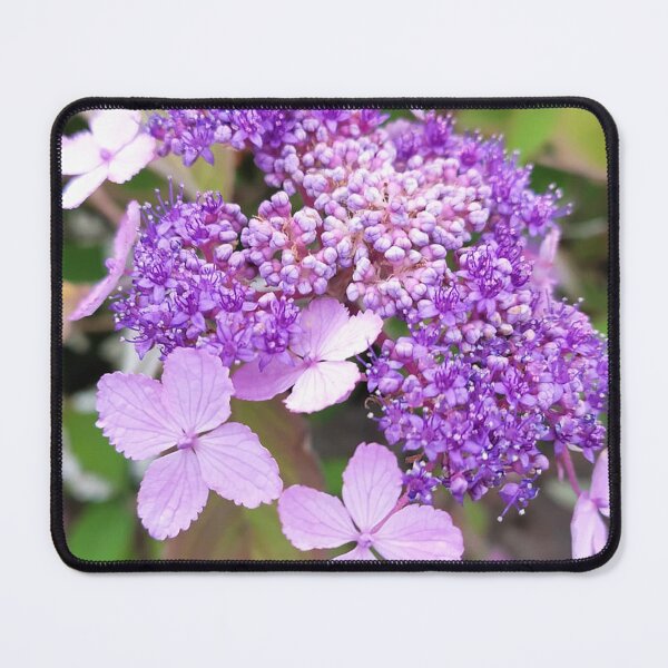 Item preview, Vibrant purple flowers in spring garden designed and sold by AlcamiaArt.