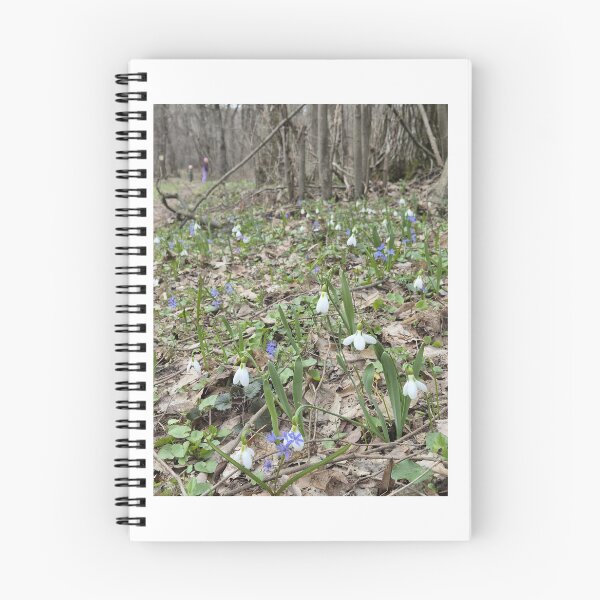 Item preview, Spring Snowdrops in the Forest Floral Greeting Card of First Spring Flowers Wild Snowdrops Nature Photography designed and sold by Ingr1d-M3deea.