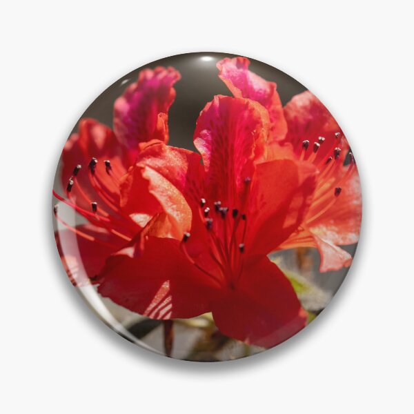 Item preview, Red Rhododendron designed and sold by MirrorsFineArt.
