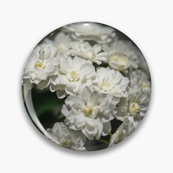 Item preview, White Rose Blossoms designed and sold by MirrorsFineArt.