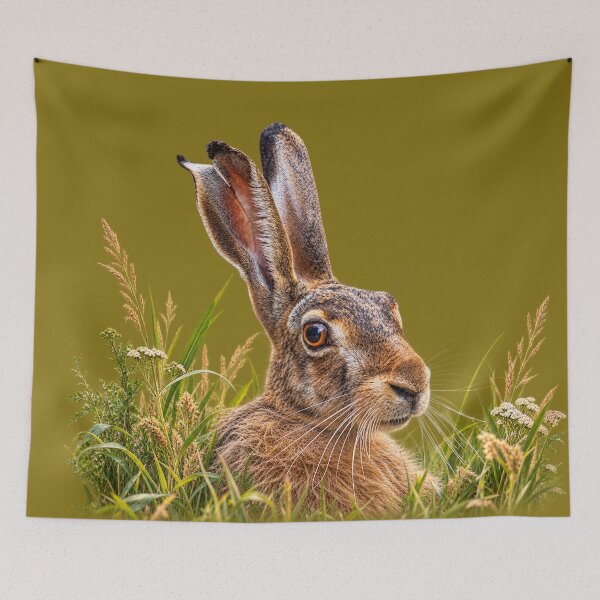 Item preview, Brown Hare in Meadow Grass designed and sold by Medve Photography & Design.