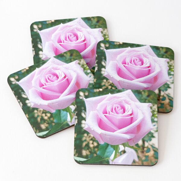 Item preview, Elegant pink rose in full bloom designed and sold by AlcamiaArt.