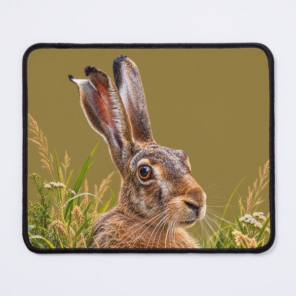 Item preview, Brown Hare in Meadow Grass designed and sold by Medve Photography & Design.