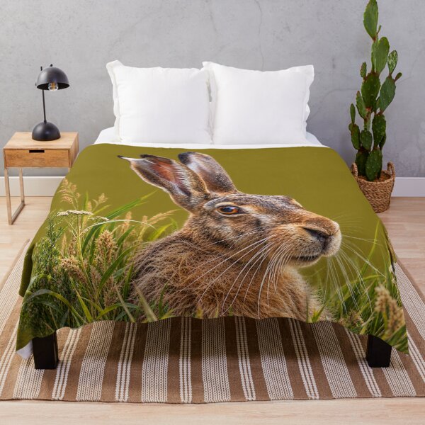 Item preview, Brown Hare in Meadow Grass designed and sold by Medve Photography & Design.