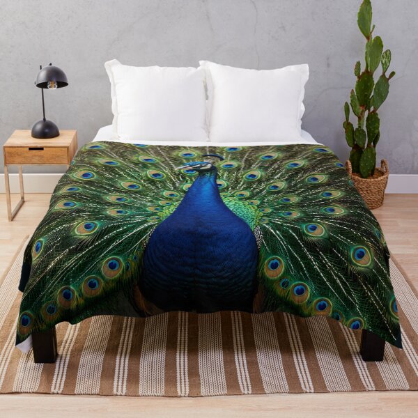 Item preview, Royal Peacock Full Feather Display Art designed and sold by hutofdesigns.