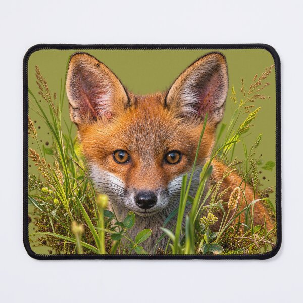 Item preview, Red Fox Among Meadow Grasses designed and sold by Medve Photography & Design.