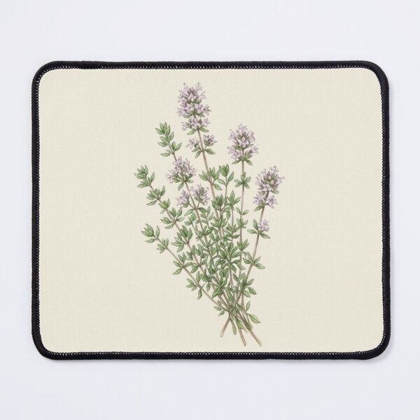 Item preview, Vintage Botanical Thyme Herb Watercolor Illustration designed and sold by bvdesignart.