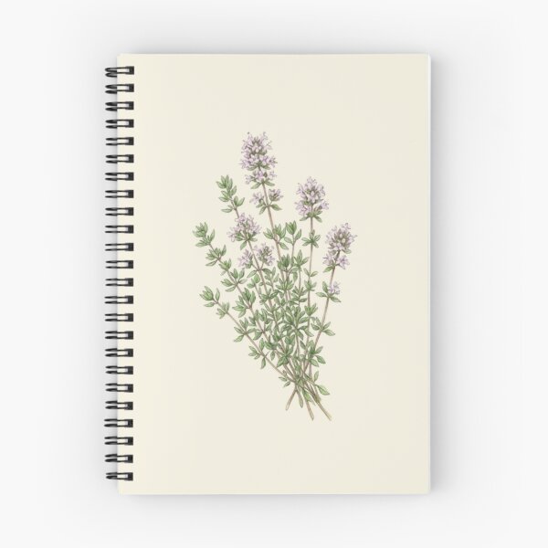 Aperçu de l'œuvre Illustration botanique vintage à l'aquarelle d'herbes de thym, par exemple. créée et vendue par bvdesignart.
