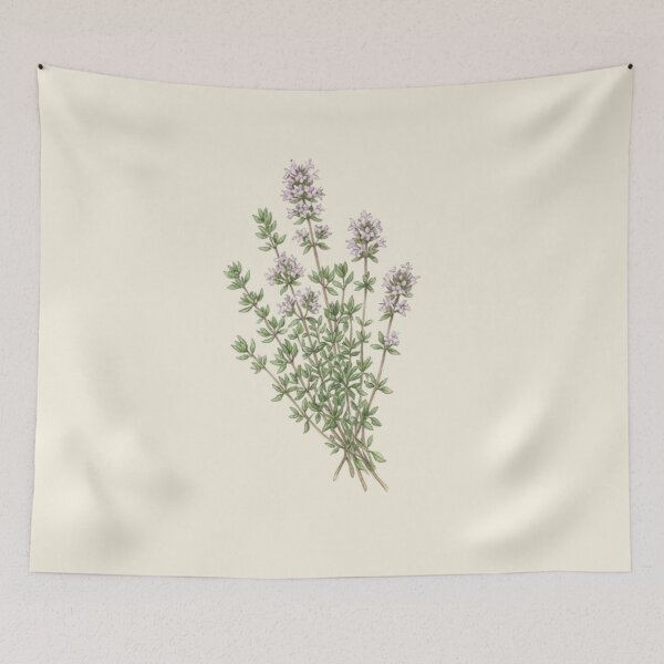 Item preview, Vintage Botanical Thyme Herb Watercolor Illustration designed and sold by bvdesignart.