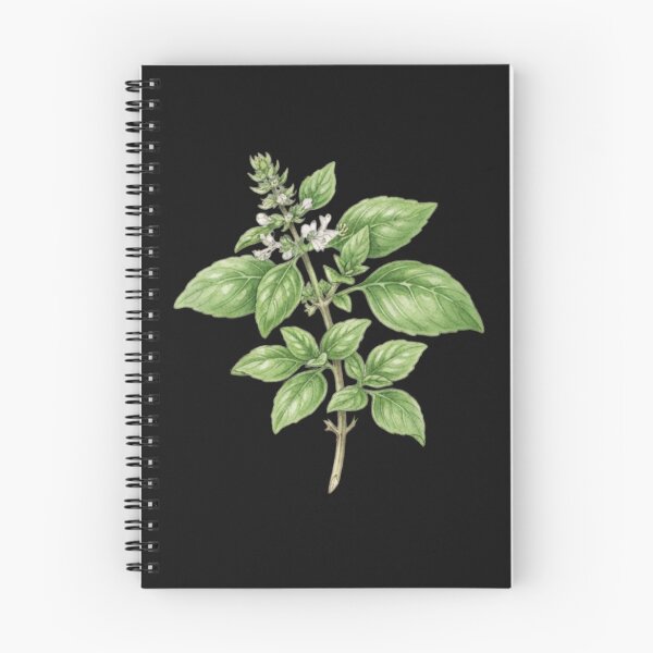 Item preview, Vintage Botanical Thai Basil Illustration Herb Art designed and sold by bvdesignart.