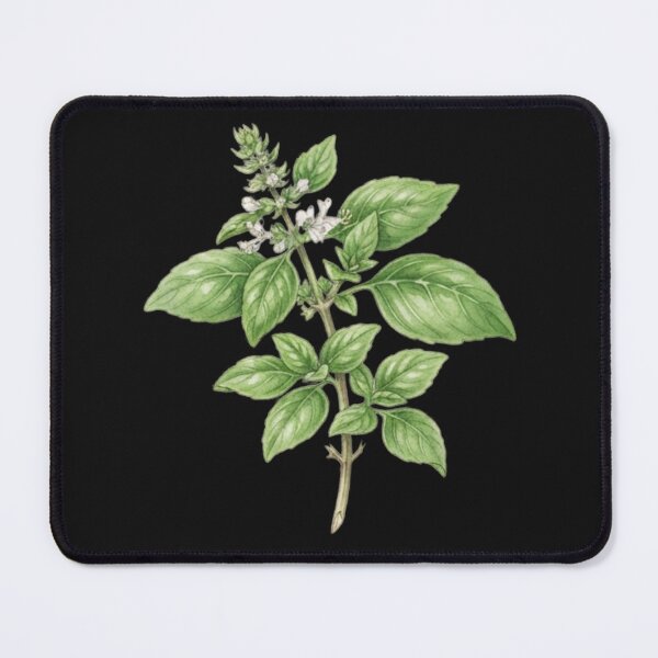 Item preview, Vintage Botanical Thai Basil Illustration Herb Art designed and sold by bvdesignart.