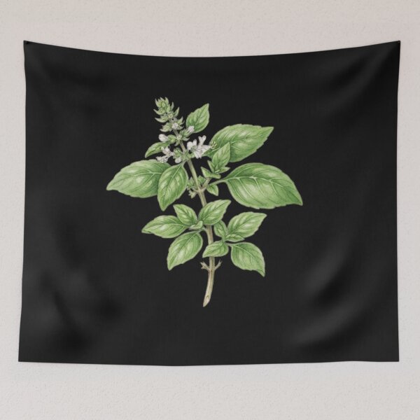Item preview, Vintage Botanical Thai Basil Illustration Herb Art designed and sold by bvdesignart.
