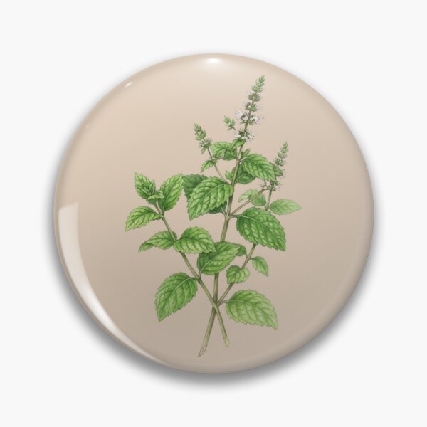 Item preview, Vintage Botanical Mint Plant Herb Illustration designed and sold by bvdesignart.
