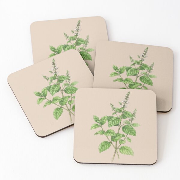 Item preview, Vintage Botanical Mint Plant Herb Illustration designed and sold by bvdesignart.