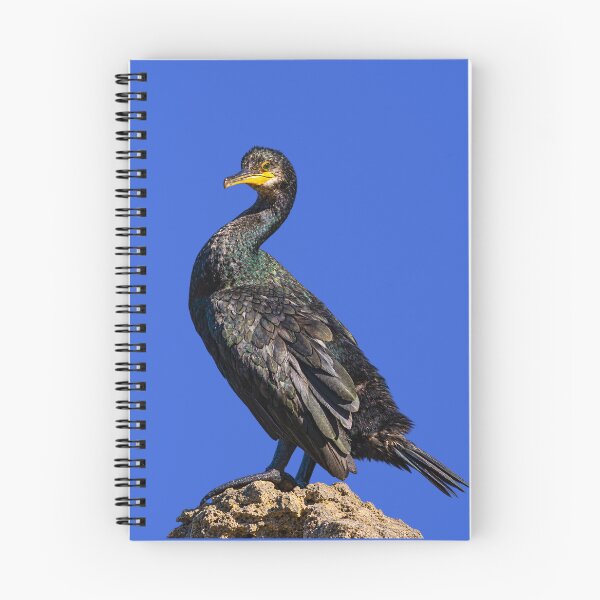 Item preview, Great Cormorant on a Rock by the Turquoise Sea designed and sold by Medve Photography & Design.