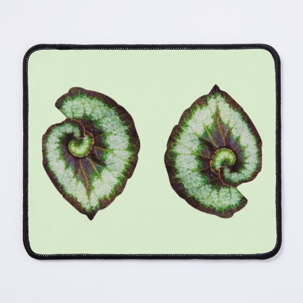 Item preview, Begonia 'Escargot' designed and sold by mooneko.