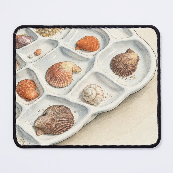 Item preview, Sorting seashells designed and sold by Dreaming Shell.
