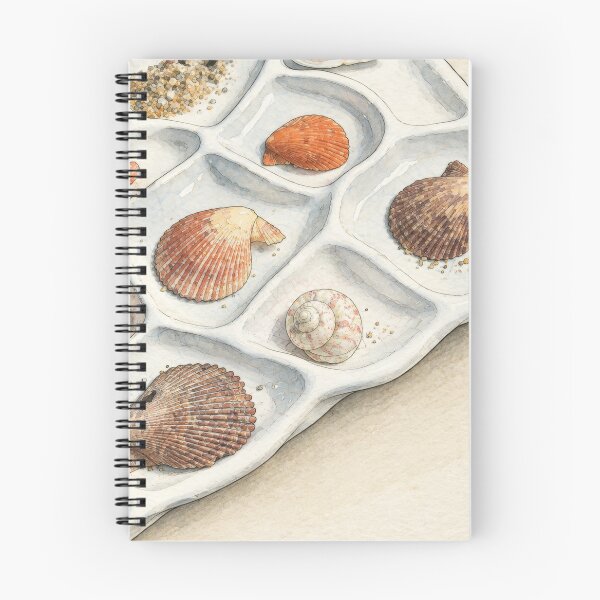Item preview, Sorting seashells designed and sold by Dreaming Shell.