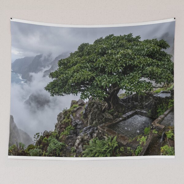 Item preview, The Water Distilling Til Tree of Hierro designed and sold by NickoGibson.