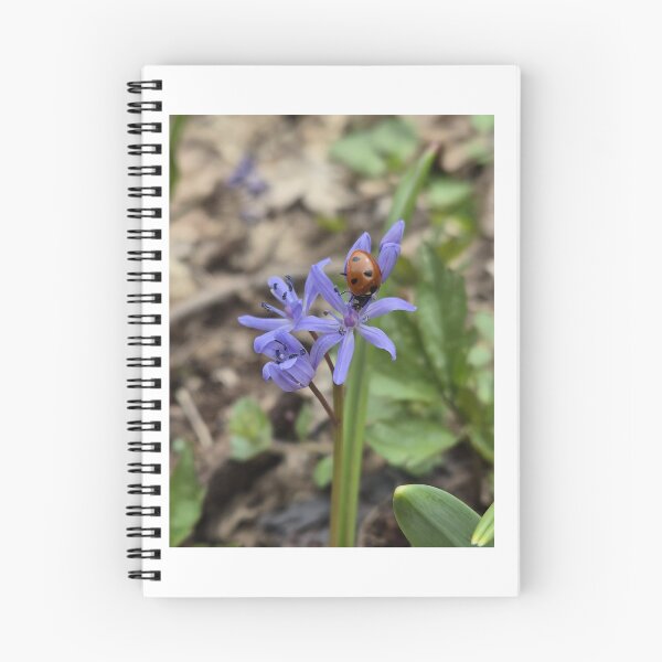 Item preview, • Cute Ladybug on Purple Wildflower Greeting Card of Spring Awakening Ladybug and Scilla Flowers Photography designed and sold by Ingr1d-M3deea.