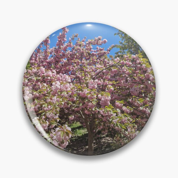 Item preview, • Vibrant Pink Cherry Blossom Tree in Full Bloom Card of Kanzan Sakura Japanese Cherry Blossom Spring Photography designed and sold by Ingr1d-M3deea.