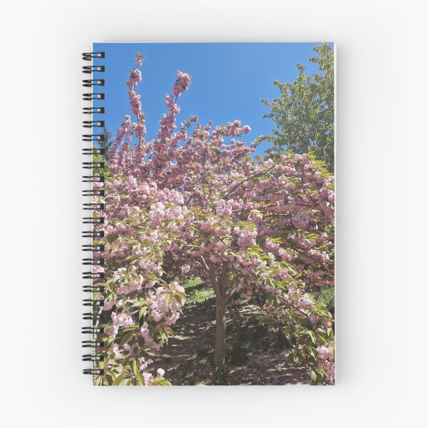 Item preview, • Vibrant Pink Cherry Blossom Tree in Full Bloom Card of Kanzan Sakura Japanese Cherry Blossom Spring Photography designed and sold by Ingr1d-M3deea.